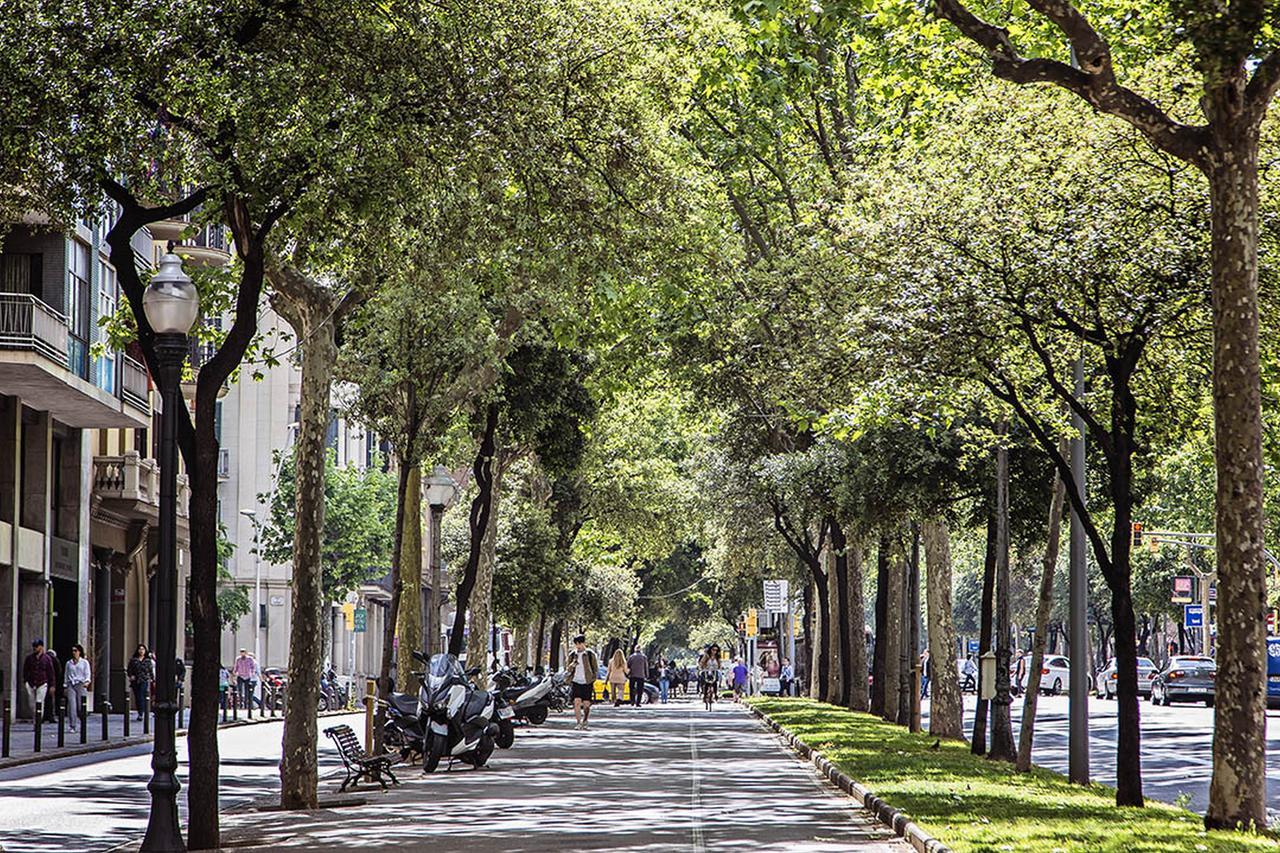 Apartment Sweet Inn - Bailen Barcelona